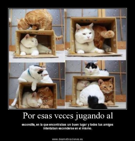 Escondidas
