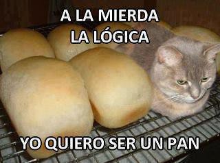 Gato-Pan
