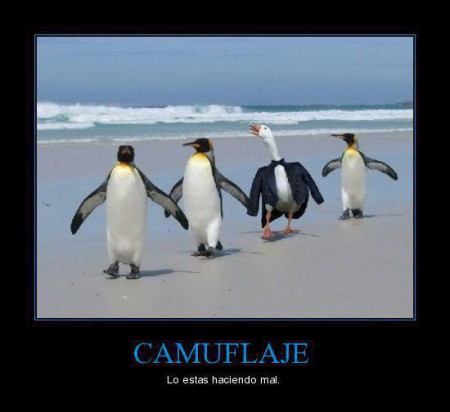 Camuflaje